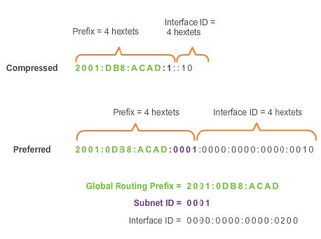 ch8img40.jpg