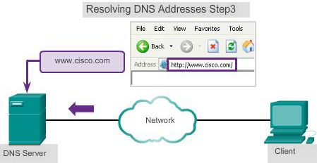 DNS
