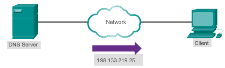 DNS